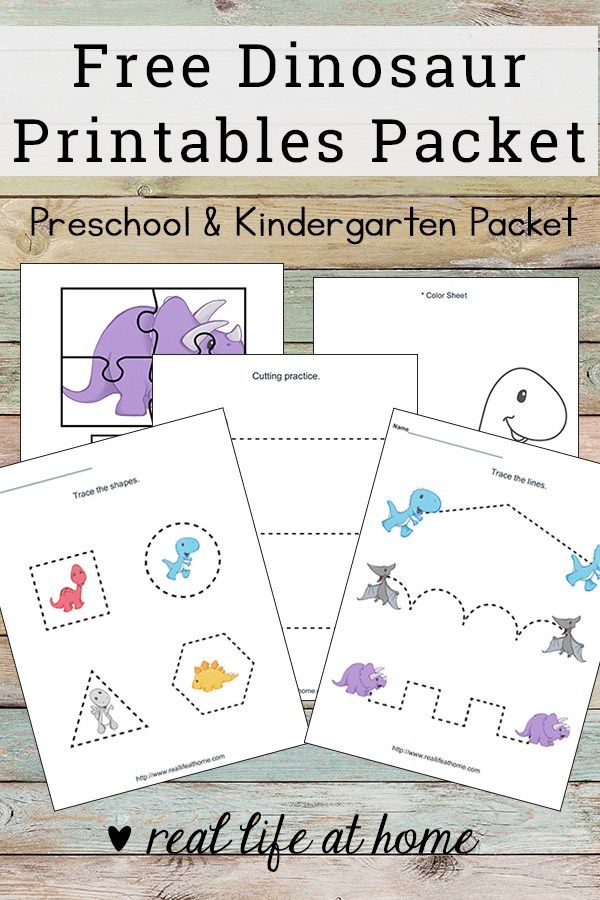 Free Dinosaur Worksheets For Preschool