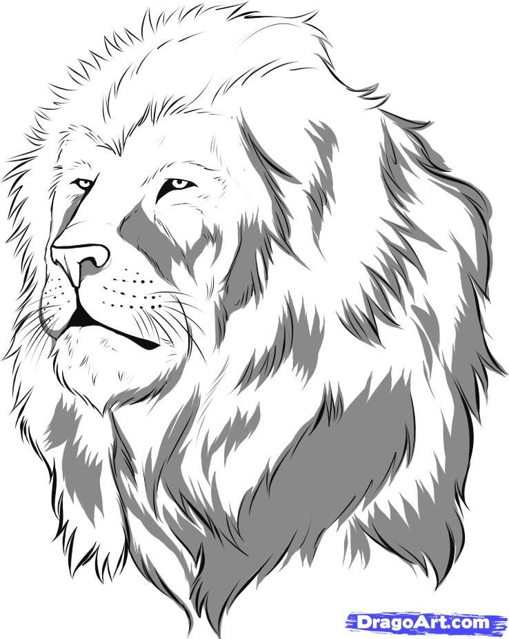 Realistic Lion Coloring Pages Printable