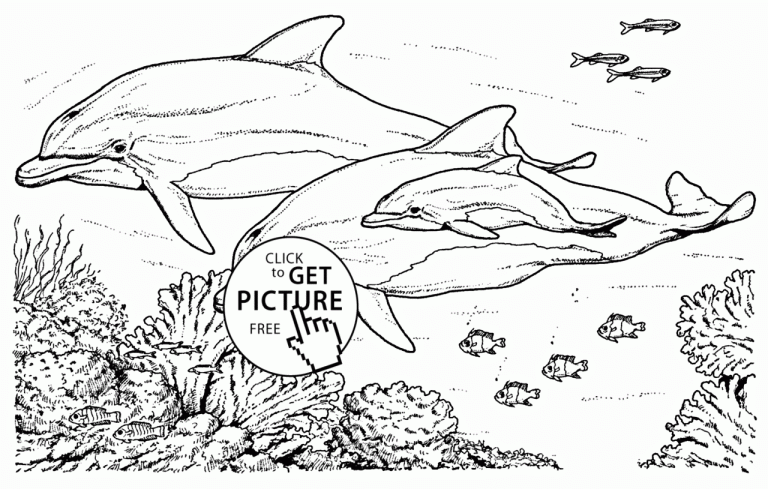 Realistic Cute Dolphin Coloring Pages