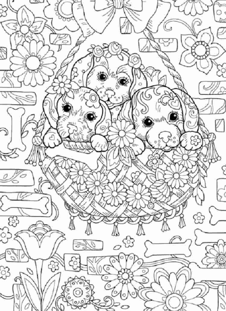 Printable Coloring Pages For Boys Hard