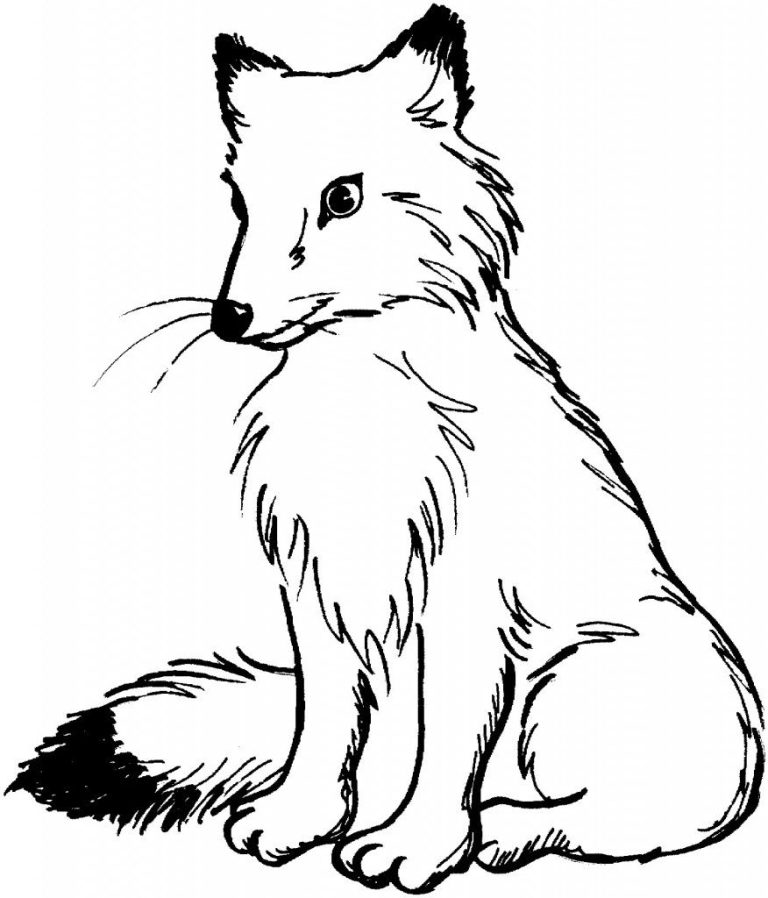 Cute Printable Fox Coloring Pages