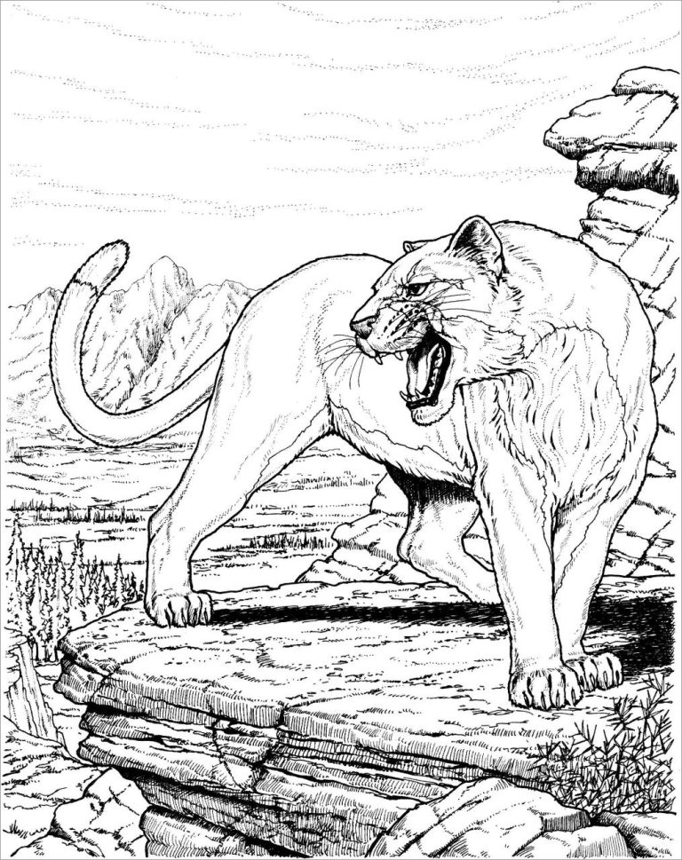 Mountain Lion Coloring Pages Printable