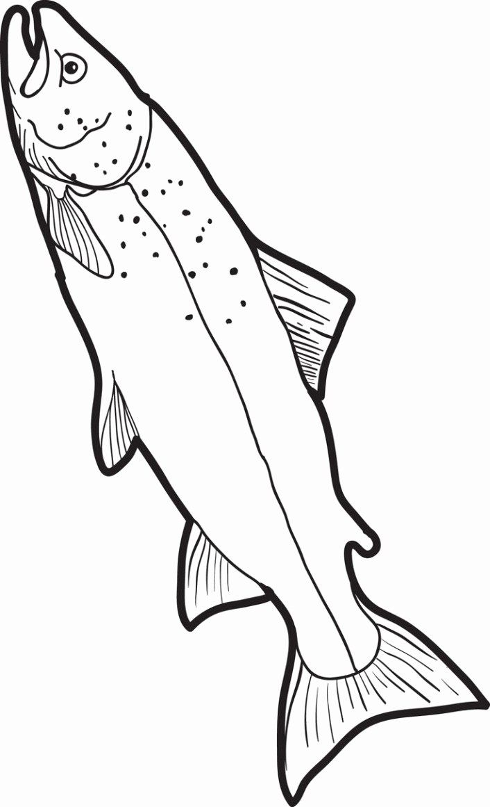 Realistic Bass Fish Coloring Pages