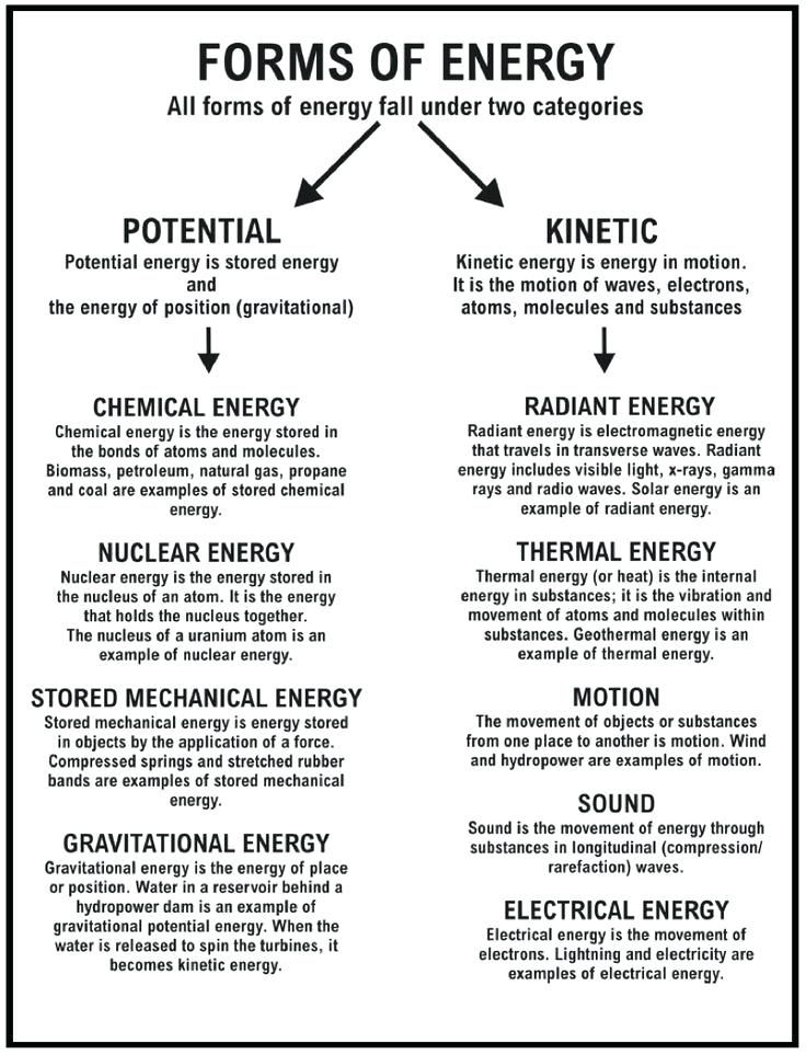 6th Grade Forms Of Energy Worksheet