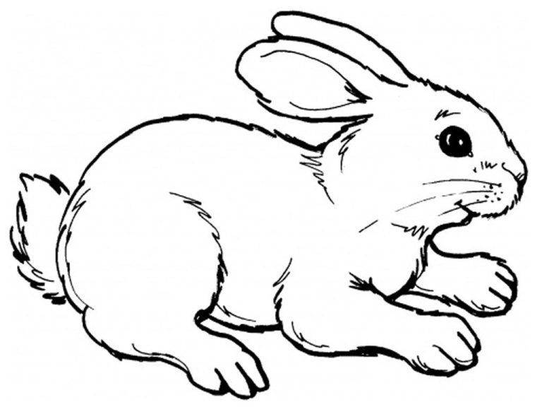 Realistic Printable Bunny Coloring Pages
