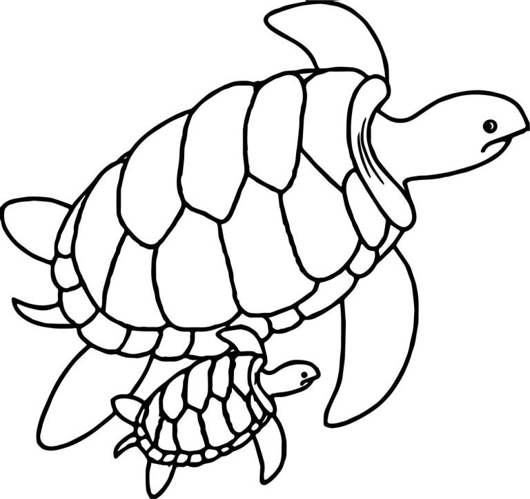 Easy Sea Turtle Coloring Pages