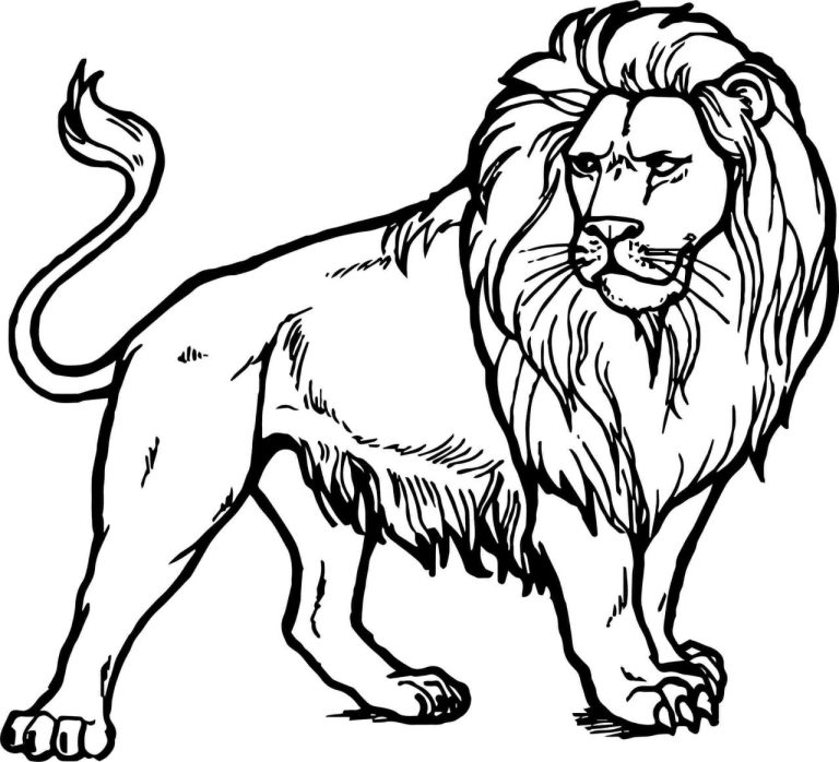 Cute Realistic Lion Coloring Pages