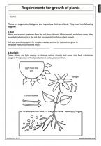 Natural Science Grade 5 Worksheets