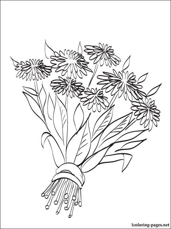 Easy Beginner Autumn Flowers Coloring Pages