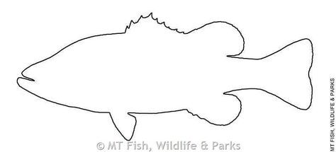 Largemouth Bass Bass Fish Coloring Pages