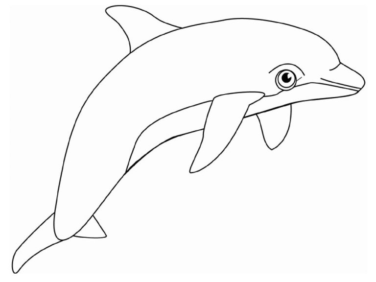 Realistic Bottlenose Dolphin Coloring Pages