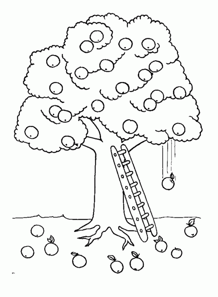 Printable Apple Picking Coloring Pages