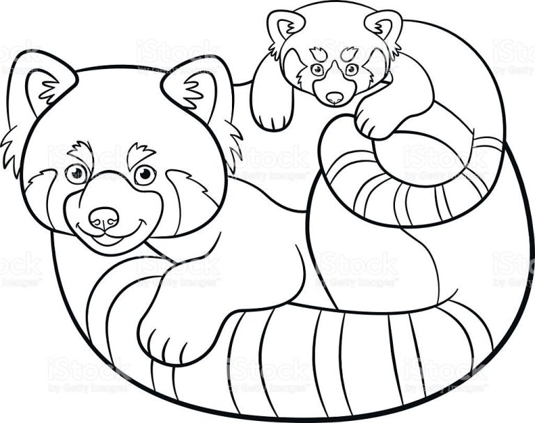 Red Panda Coloring Pages Free