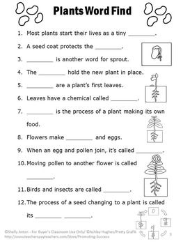 Year 2 Science Worksheets Plants