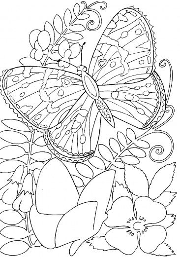 Butterfly And Flower Coloring Pages Printable
