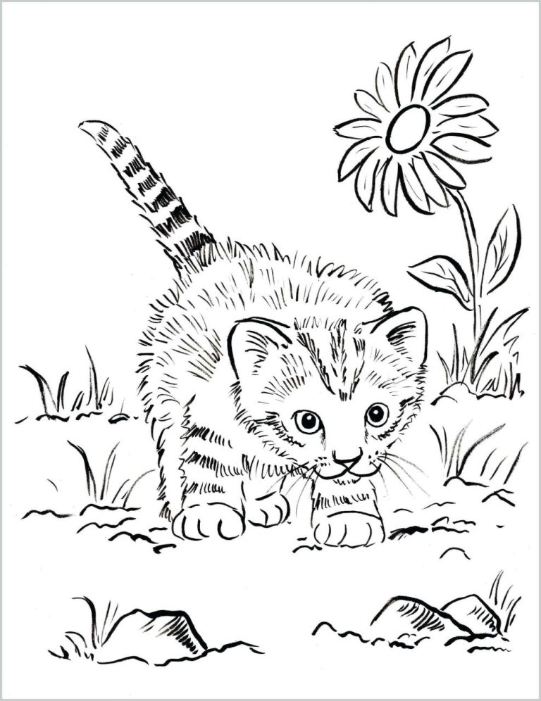 Realistic Cat Coloring Pages Printable