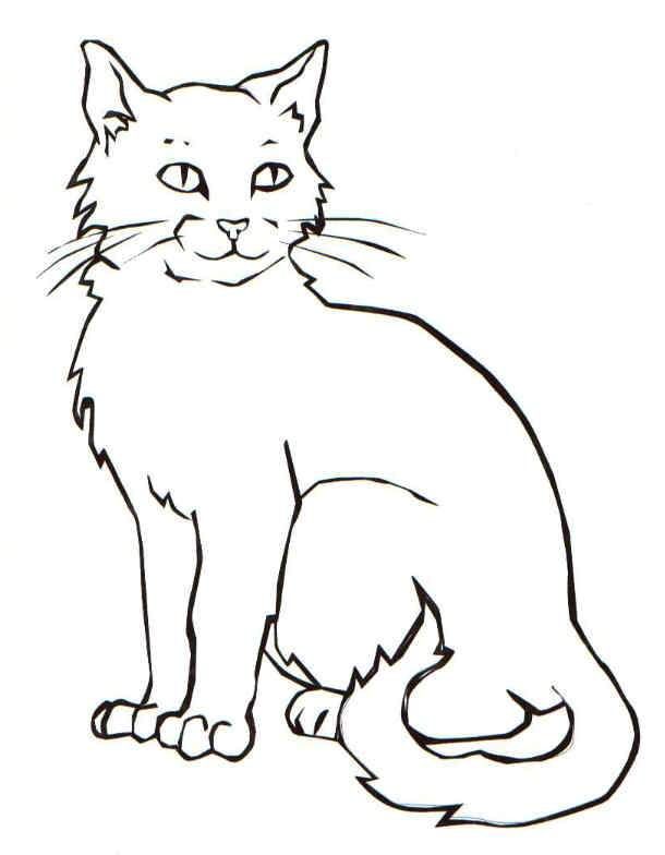 Kitten Cat Coloring Pages Cute