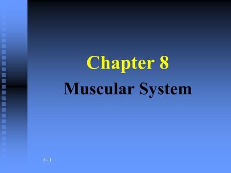 Chapter 8 Muscular System Worksheet Answers