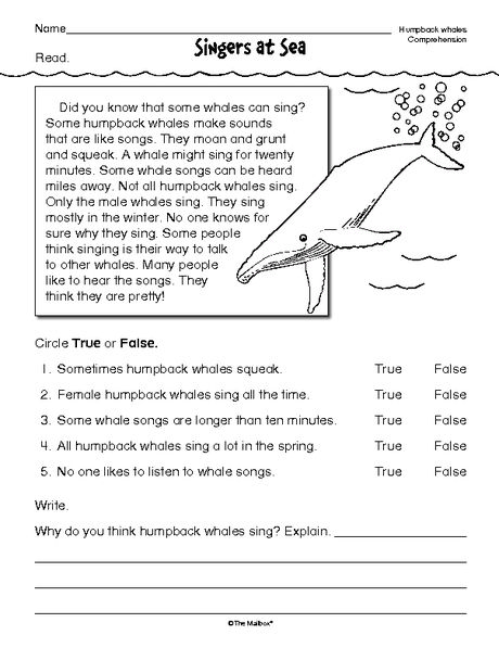 4th Grade Free Printable Comprehension Worksheets For Grade 3