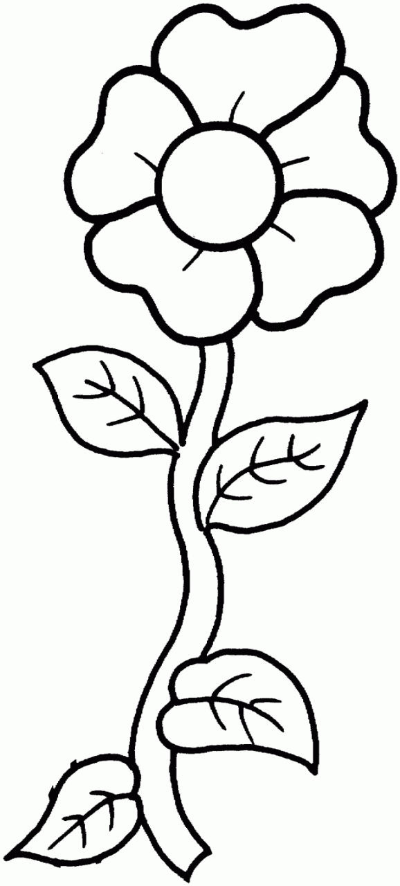 Flower Coloring Book Images