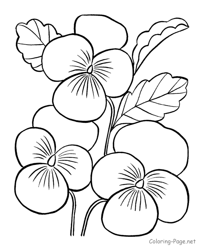 Flower Coloring Pictures To Print