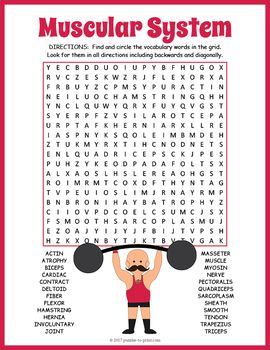 Worksheet Answer Muscular System Crossword Puzzle Answer Key