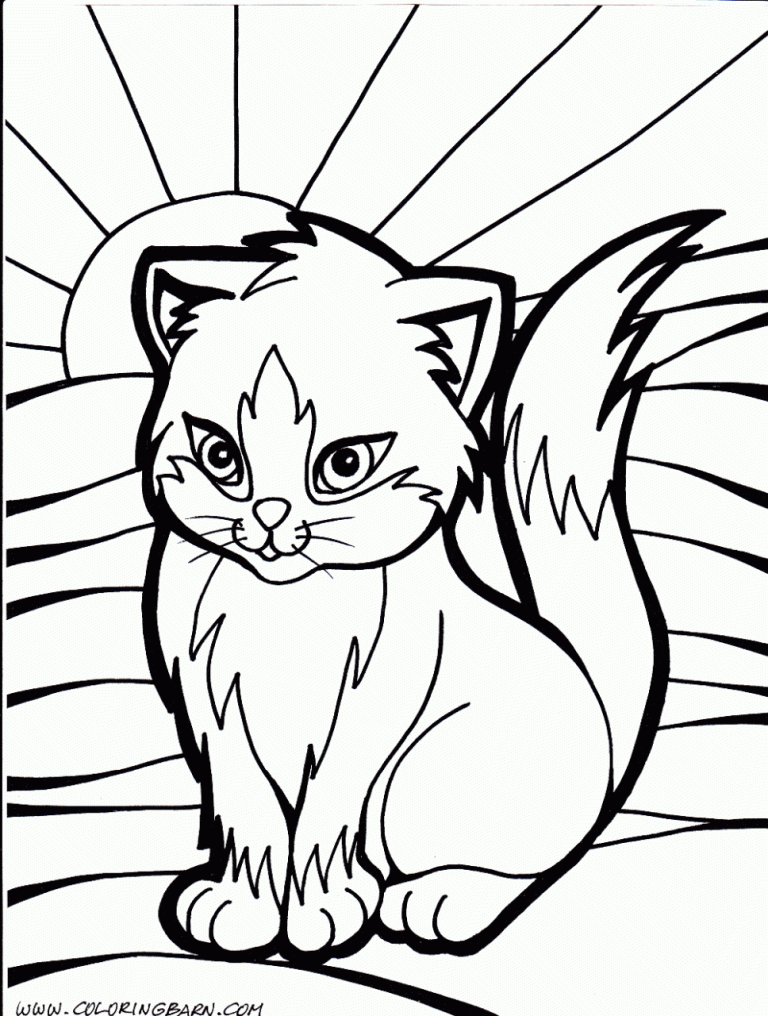 Kitten Cat Coloring Pages Printable