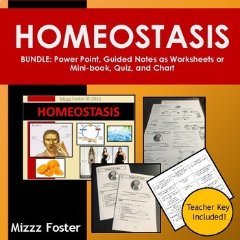 Homeostasis Worksheet Answers Key Positive And Negative Feedback