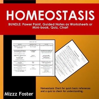 Homeostasis Reading Worksheet Answer Key