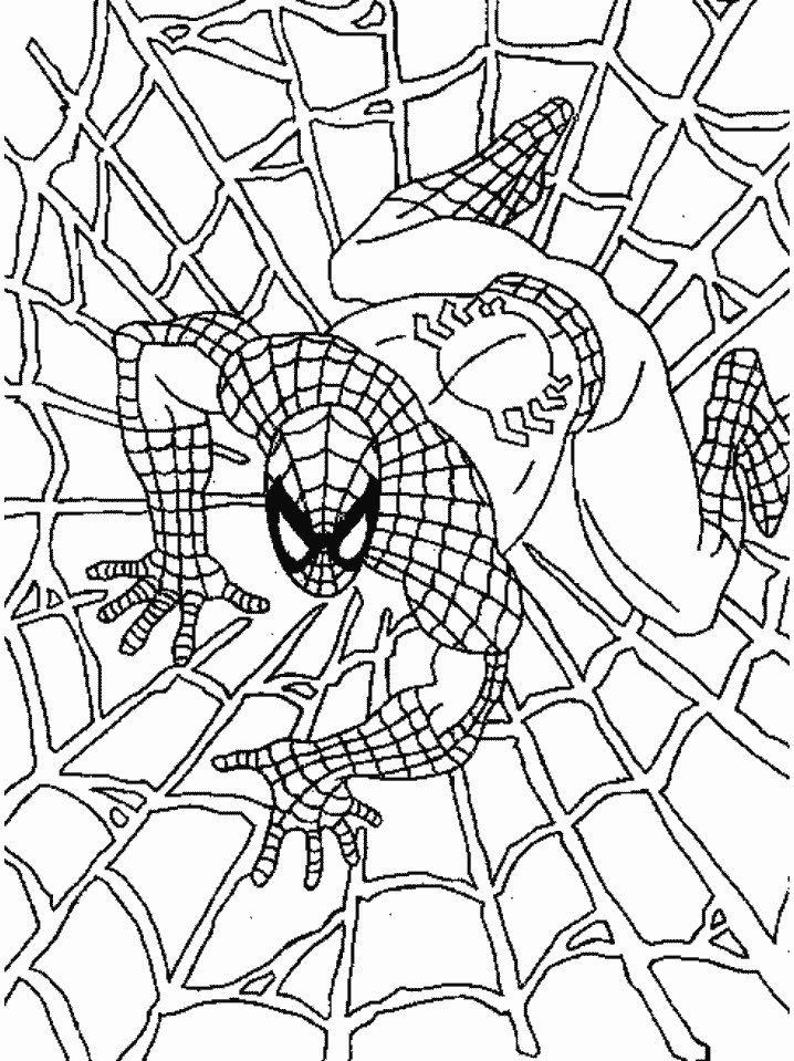 Spiderman Coloring Pages For Kids Boys