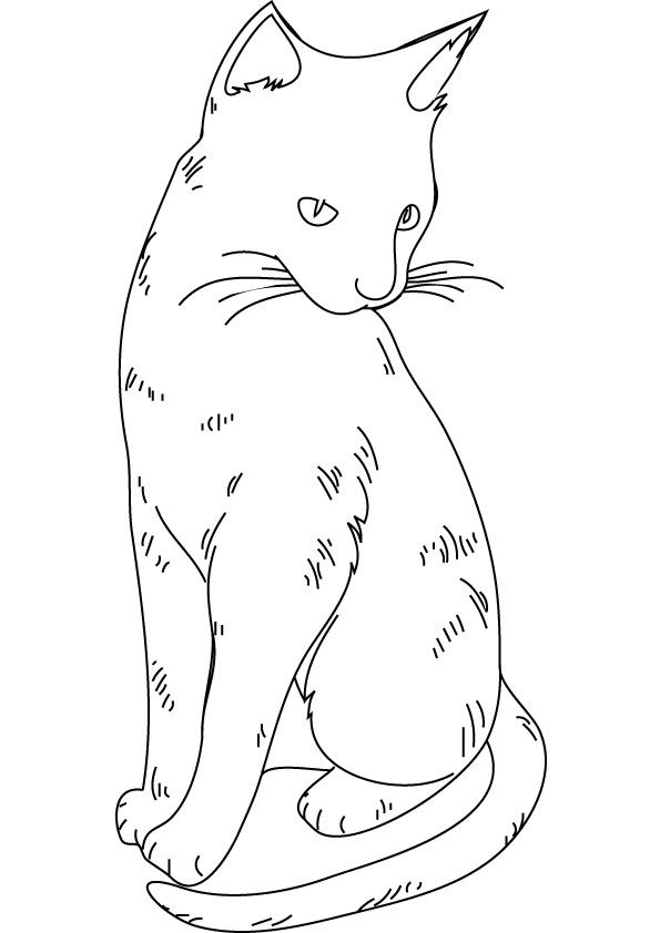 Cat Coloring Pictures To Print