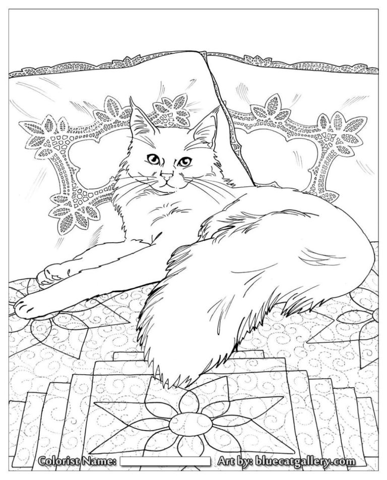 Cat Coloring Book Pages