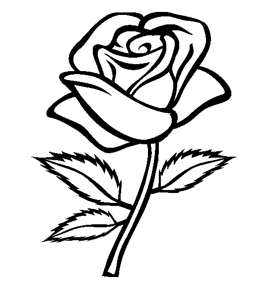 Rose Flower Coloring Pages Printable