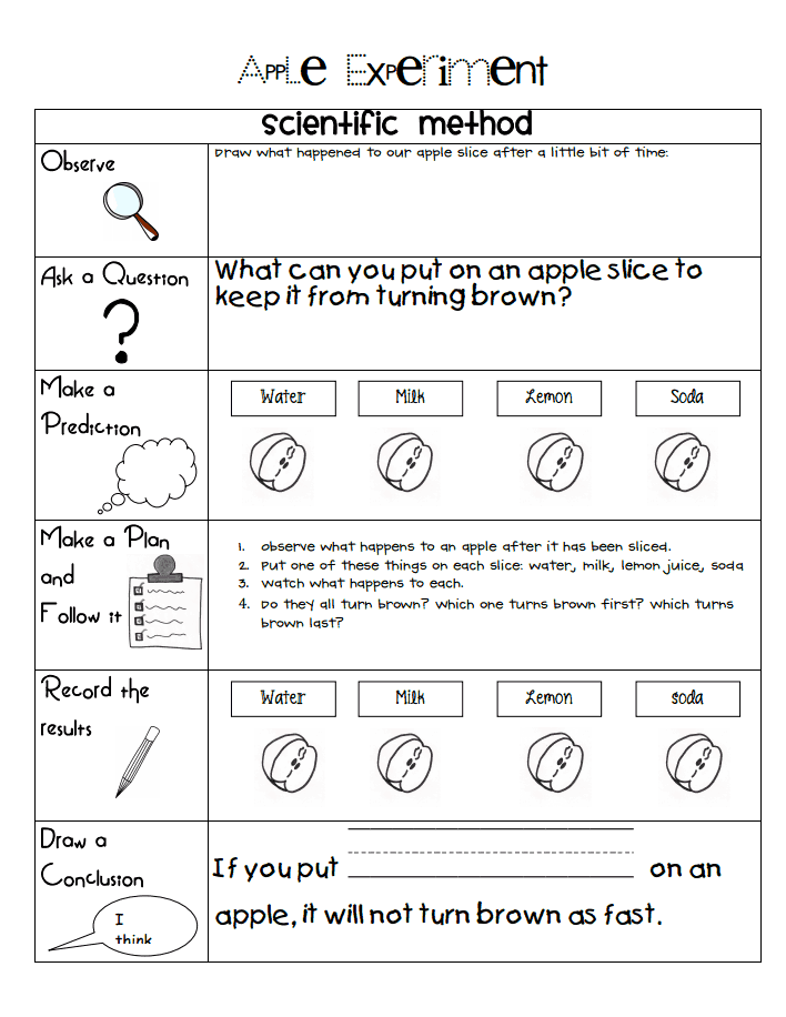 2nd Grade Scientific Method Worksheet Pdf For 3rd Grade