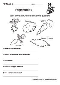 Free Printable Science Worksheets For 3rd Grade