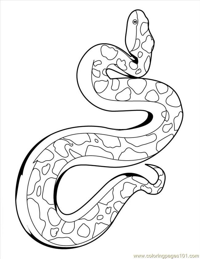 Realistic Anaconda Snake Coloring Pages