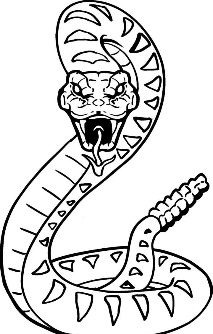 Easy Scary Snake Coloring Pages