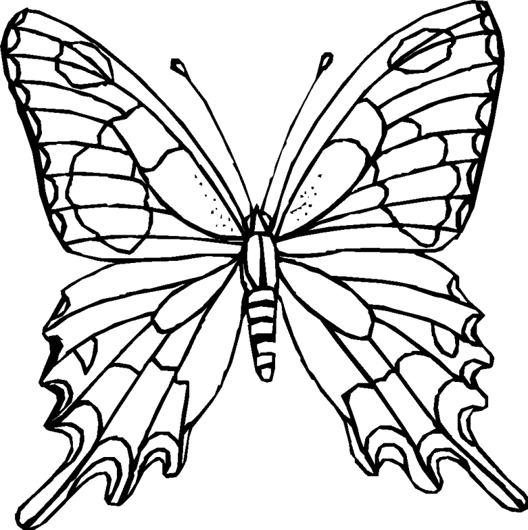 Butterfly Coloring Sheet Pdf