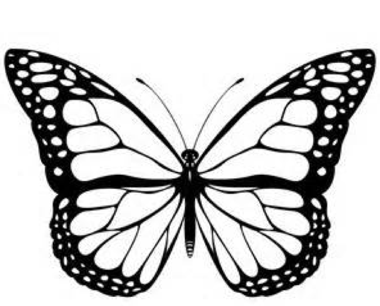 Monarch Butterfly Coloring Template