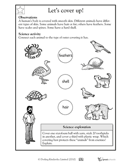 Free Printable 2nd Grade Science Worksheets
