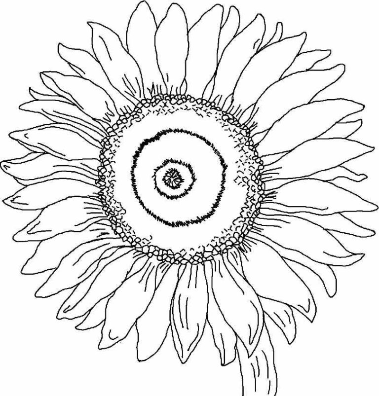 Simple Summer Flower Flowers Coloring Pages
