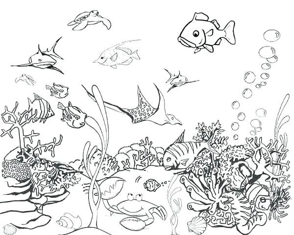 Printable Realistic Ocean Coloring Pages