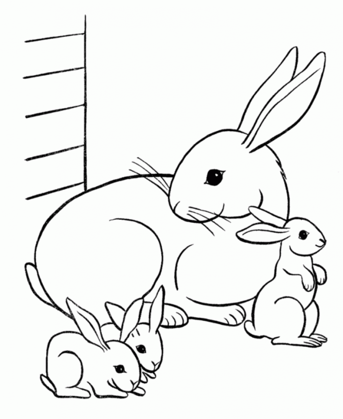 Cute Bunny Rabbit Coloring Pages