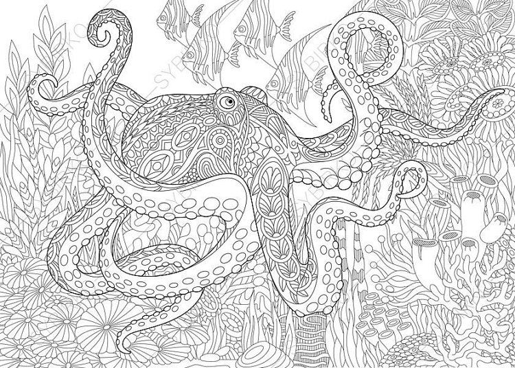 Ocean Cute Hard Coloring Pages
