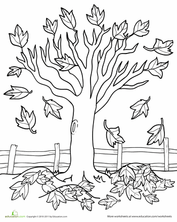 Tree Fall Leaves Coloring Pages