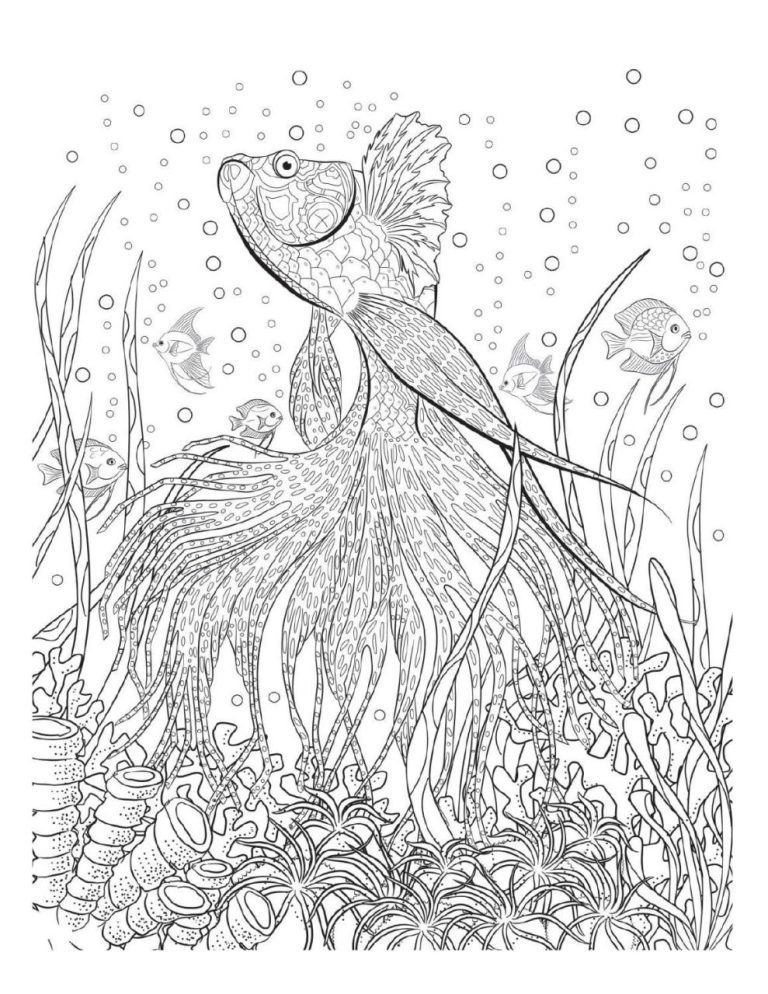 Ocean Animal Hard Coloring Pages