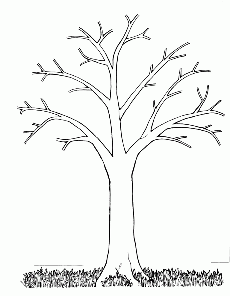 Free Printable Tree Coloring Pages