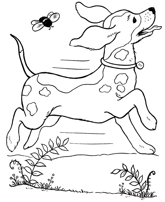 Dog Coloring Pages For Kids Animals