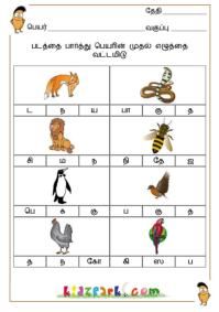 Tamil Language 1st Grade Tamil Worksheets For Grade 1