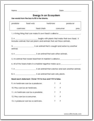 5th Grade Science Ecosystem Worksheets